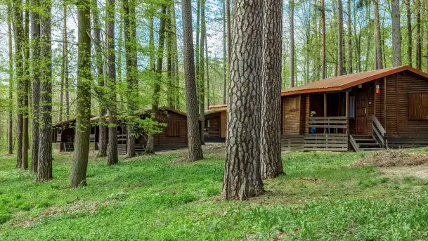 Zdjęcia: Atrakcyjne noclegi w domkach nad jeziorem Nidzkim: Ośrodek Wypoczynkowy Wodnik - zdjęcie 5