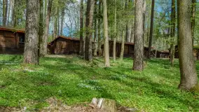 Zdjęcia: Atrakcyjne noclegi w domkach nad jeziorem Nidzkim: Ośrodek Wypoczynkowy Wodnik - zdjęcie 2