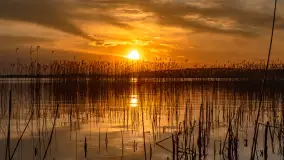 Zachód słońca nad jeziorem Święcajty, kwiecień 2024 r. - zdjęcie 10