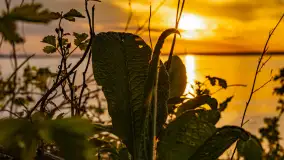 Zachód słońca nad jeziorem Niegocin, kwiecień 2024 r. - zdjęcie 22