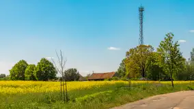 Mazury pełne żółtego koloru, pola rzepaku, maj 2024 r. - zdjęcie 35