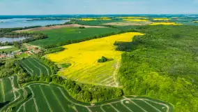 Rzepakowe pola widoczne z lotu ptaka, maj 2024 r. - zdjęcie 11