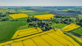 Rzepakowe pola widoczne z lotu ptaka, maj 2024 r. - zdjęcie 28