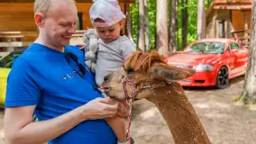 Dzień Dziecka w Ośrodku Wypoczynkowym Wodnik, czerwiec 2024 r. - zdjęcie 21