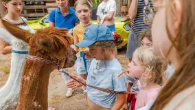 Dzień Dziecka w Ośrodku Wypoczynkowym Wodnik, czerwiec 2024 r. - zdjęcie 8