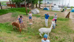 Dzień Dziecka w Ośrodku Wypoczynkowym Wodnik, czerwiec 2024 r. - zdjęcie 10