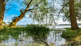 Plaża nad jeziorem Rydzówka pod koniec maja 2024 r. - zdjęcie 7