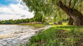 Plaża nad jeziorem Rydzówka pod koniec maja 2024 r. - zdjęcie 11