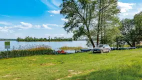 Plaża nad jeziorem Rydzówka pod koniec maja 2024 r. - zdjęcie 22