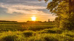 Mazury w wieczornych promieniach słońca, maj 2024 r. - zdjęcie 19