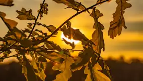 Mazury w wieczornych promieniach słońca, maj 2024 r. - zdjęcie 34