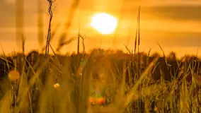 Mazury w wieczornych promieniach słońca, maj 2024 r. - zdjęcie 10