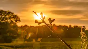 Mazury w wieczornych promieniach słońca, maj 2024 r. - zdjęcie 14