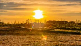 Mazury w wieczornych promieniach słońca, maj 2024 r. - zdjęcie 33