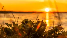 Zachód słońca w przystani Rajcocha, lipiec 2024 r. - zdjęcie 37