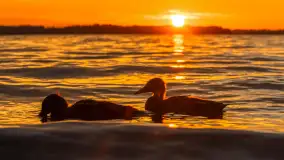 Zachód słońca w przystani Rajcocha, lipiec 2024 r. - zdjęcie 11