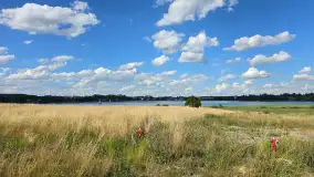 Marina Ryn Park czyli Raj na Mazurach w Dynamicznie Rozwijającym się Rynie. - zdjęcie 14