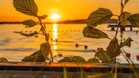 Zachód słońca nad jeziorem Święcajty, Ognisty Ptak, sierpień 2024 r. - zdjęcie 38