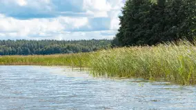 Rejs Mazury24 Omegą po Sapinie, sierpień 2024 r. - zdjęcie 4