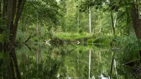 Rejs Mazury24 Omegą po Sapinie, sierpień 2024 r. - zdjęcie 5