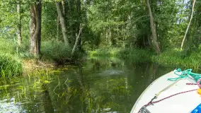 Rejs Mazury24 Omegą po Sapinie, sierpień 2024 r. - zdjęcie 28