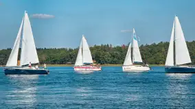 Fotorelacja z regat Święcajty Cup 2024 - zdjęcie 69