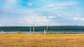 Puszcza Piska na początku września 2024 r. - zdjęcie 23