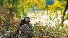 Puszcza Piska na początku września 2024 r. - zdjęcie 49