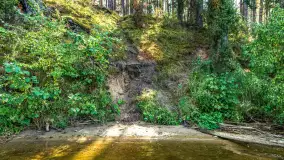 Puszcza Piska na początku września 2024 r. - zdjęcie 119