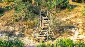 Puszcza Piska na początku września 2024 r. - zdjęcie 46