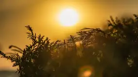 Puszcza Piska na początku września 2024 r. - zdjęcie 65