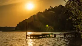 Puszcza Piska na początku września 2024 r. - zdjęcie 69