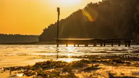 Puszcza Piska na początku września 2024 r. - zdjęcie 15