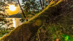 Puszcza Piska na początku września 2024 r. - zdjęcie 62