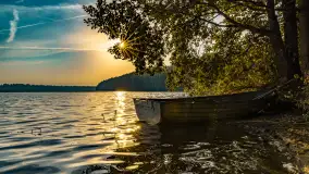 Puszcza Piska na początku września 2024 r. - zdjęcie 83