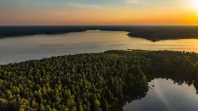 Puszcza Piska na początku września 2024 r. - zdjęcie 139