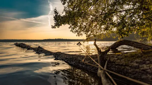 Puszcza Piska na początku września 2024 r. - zdjęcie 3