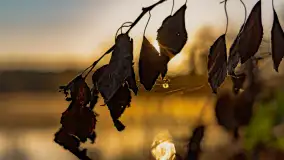 Wschód słońca nad jeziorem Iławki, październik 2024 r. - zdjęcie 32