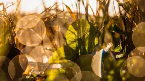 Wschód słońca nad jeziorem Iławki, październik 2024 r. - zdjęcie 15