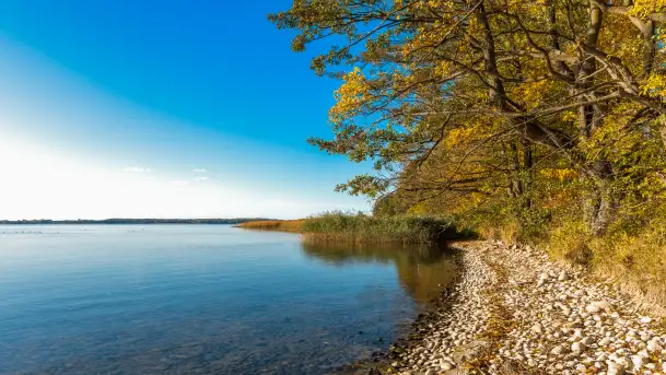 Jesień nad jeziorem Niegocin, październik 2024 r. - zdjęcie 11