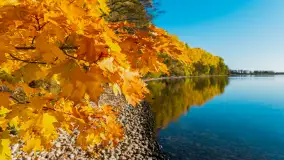 Jesień nad jeziorem Niegocin, październik 2024 r. - zdjęcie 1