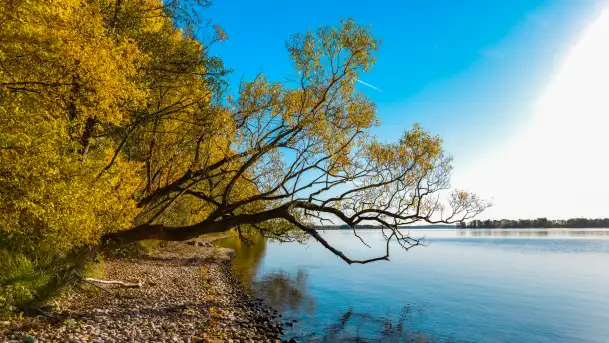 Jesień nad jeziorem Niegocin, październik 2024 r. - zdjęcie 9
