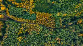 Jezioro Iławki z lotu ptaka o wschodzie słońca, październik 2024 r. - zdjęcie 28