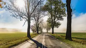 Mgły nad mazurskimi polami i łąkami, październik 2024 r. - zdjęcie 22