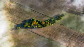 Mgły nad mazurskimi polami i łąkami, październik 2024 r. - zdjęcie 20