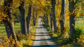 Podsumowanie mazurskiej, złotej jesieni 2024, cz. I - zdjęcie 13