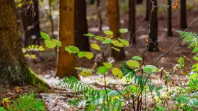 Podsumowanie mazurskiej, złotej jesieni 2024, cz. I - zdjęcie 38