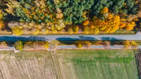 Podsumowanie mazurskiej, złotej jesieni 2024, cz. I - zdjęcie 33