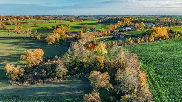Podsumowanie mazurskiej, złotej jesieni 2024, cz. I - zdjęcie 2