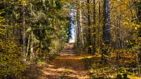 Podsumowanie mazurskiej, złotej jesieni 2024, cz. II - zdjęcie 23